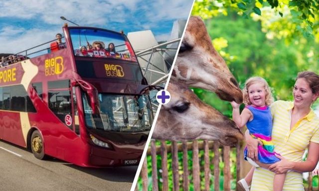 Big Bus Singapore Hop-On Hop-Off + Singapore Zoo Ticket